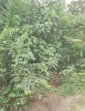 100 by 100 for Sale at Ugolo Warri Delta State