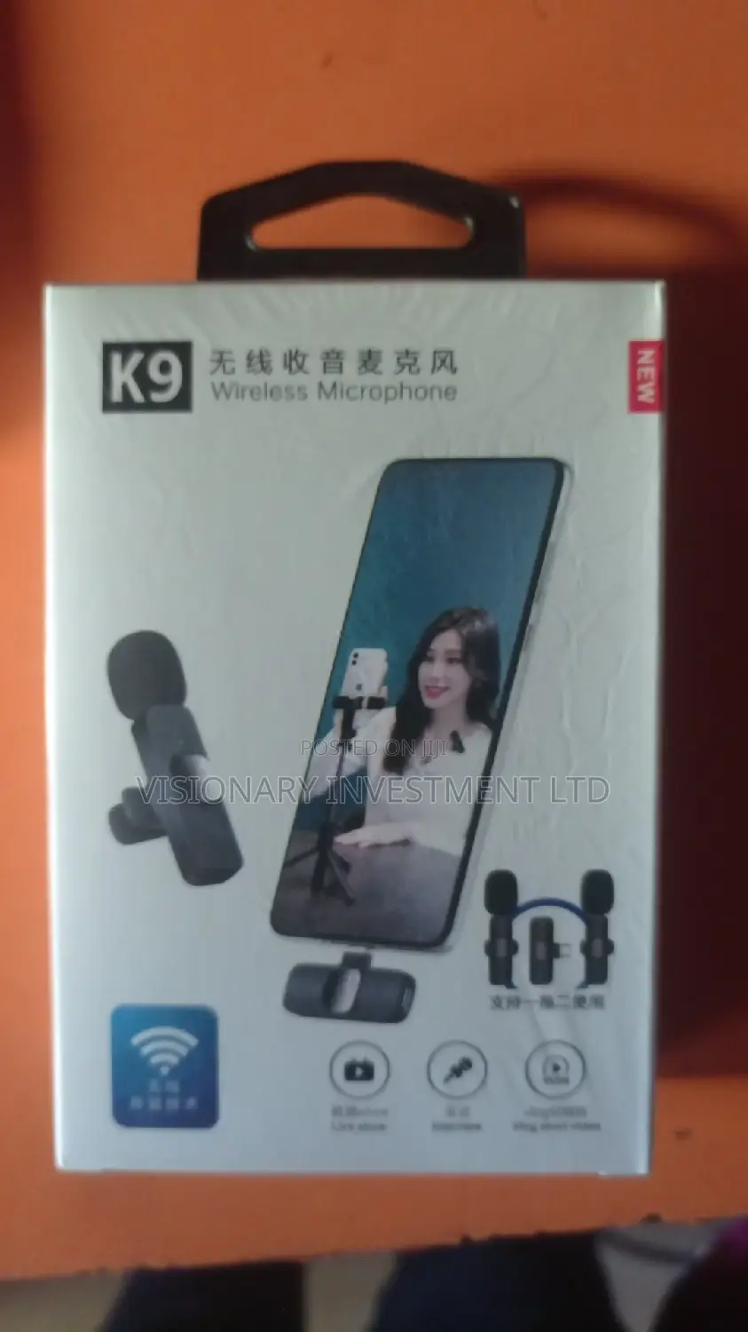  Wireless Microphone Dual