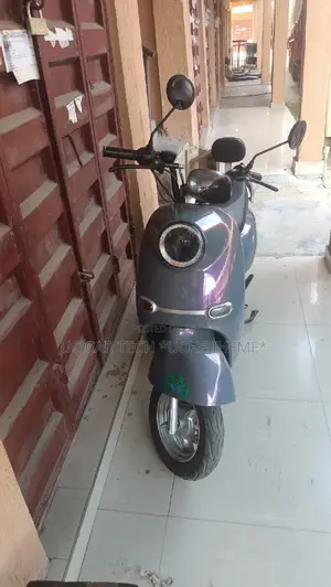 Electric Bike