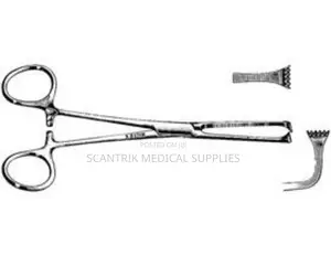 Allis Tissue Forceps With Box Joint 160mm