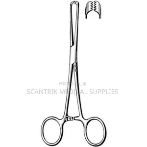Tissue Forcep 5x6 Teeth