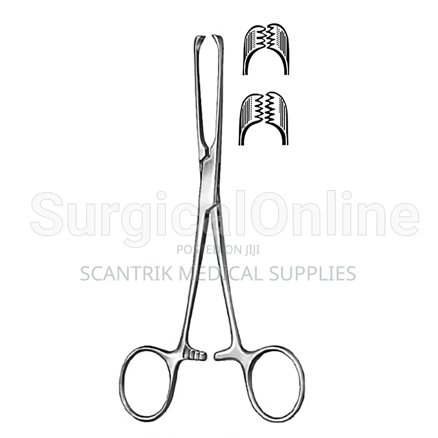 Allis Forceps