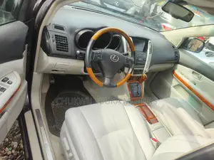 Lexus RX 350 AWD 2009 Gray