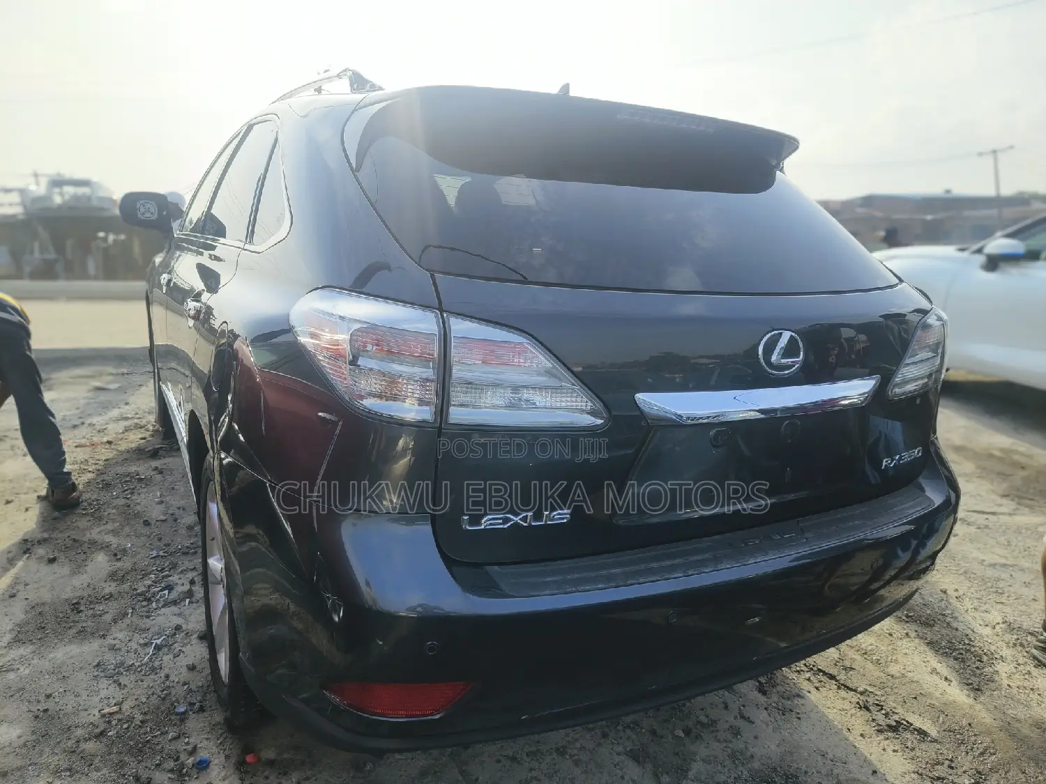 Lexus RX 350 2010 Gray