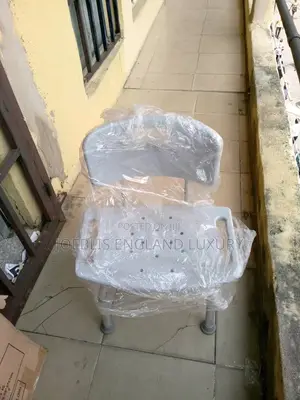 Bath Chair With Back Rest for Toilets