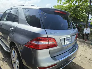 Mercedes-Benz M Class 2015 Gray