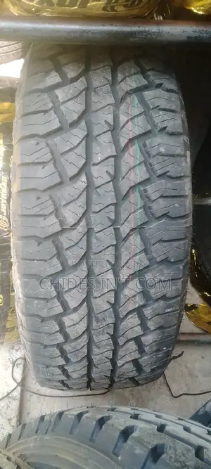 285/60/18 Joy Road Tire
