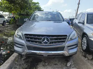 Mercedes-Benz M Class 2014 Gray