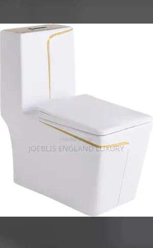 Executive White Square Wc With Gold Line and Wash Hand Basin