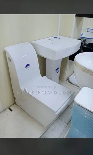 Executive White Water Closet With Standing Basin Side Flush