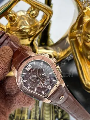 AIGNER Luxury Wristwatch
