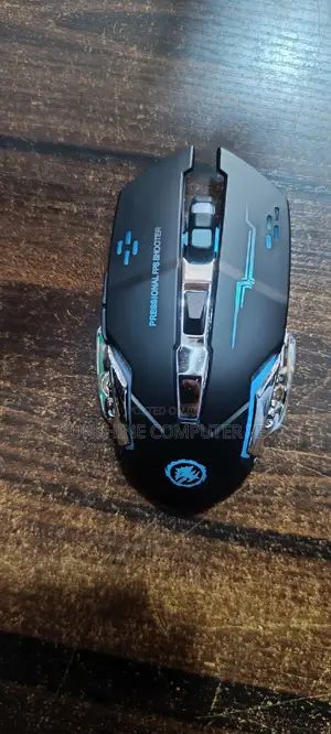 Rechargeable Gaming Mouse Wireless and Bluetooth