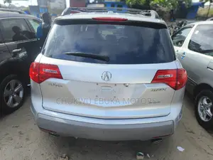 Acura MDX 2009 Silver