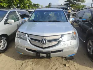 Acura MDX 2009 Silver