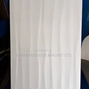 32.3X63 High Quality Spanish Wall Tiles.