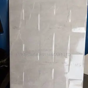 32.3X63 High Quality Spanish Wall Tiles.