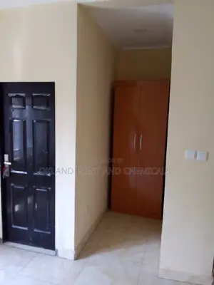 Painter Maitama Service