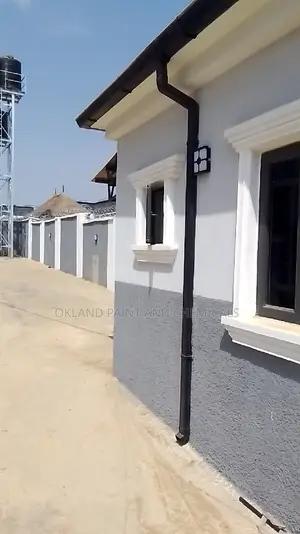 Painter Maitama Service