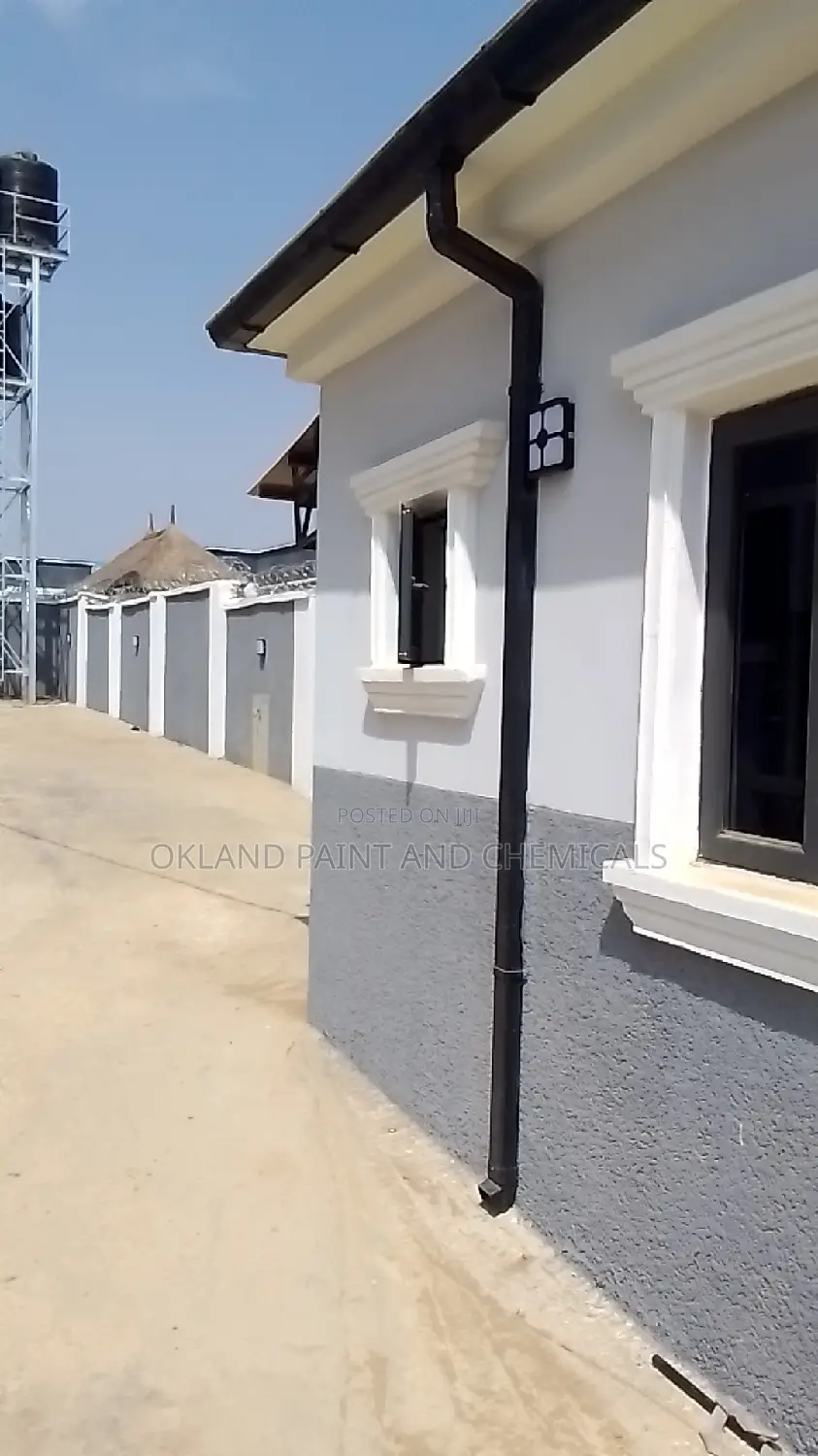 Painter Maitama Service