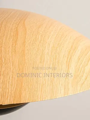 Dish-Shaped Nordic Pendant Lamp