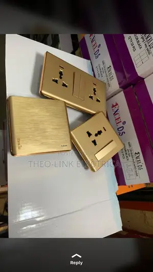 13amps Double Gold