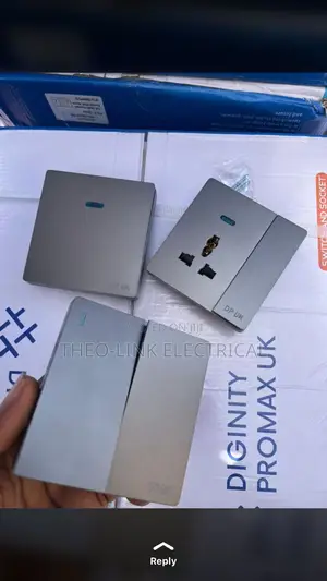 2gang Switch Gray