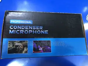 Professional Condenser Mic
