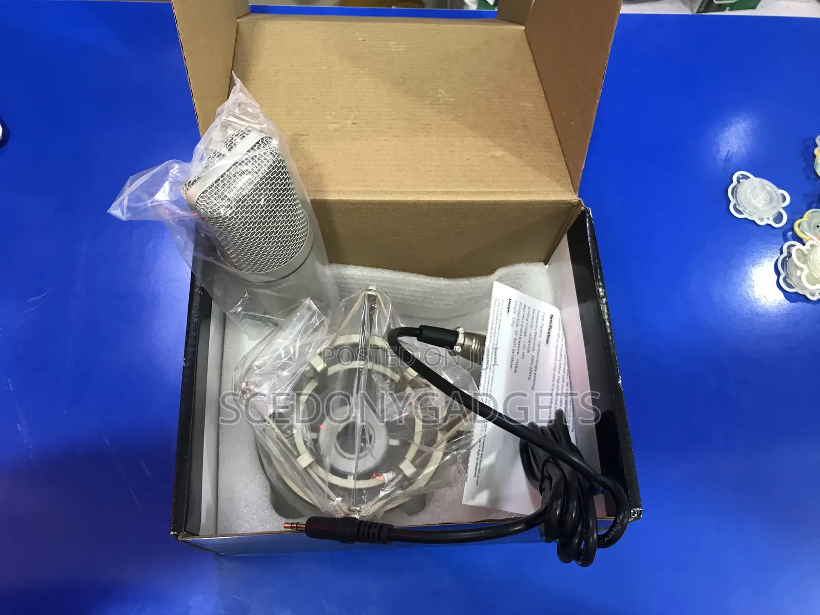 Professional Condenser Mic