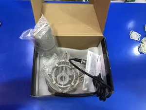 Professional Condenser Mic