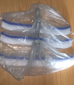 Best Swimming Pool Brush