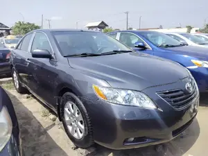 Toyota Camry 2010 Gray