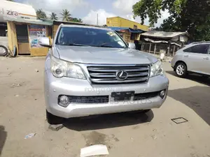 Lexus GX 460 Premium 2013 Silver