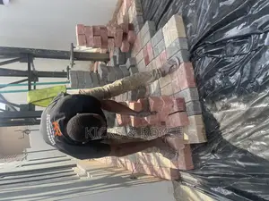Paving Stone Interlocks