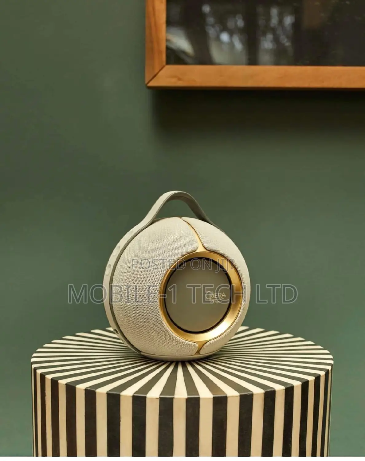 Devialet Mania Bluetooth Speaker