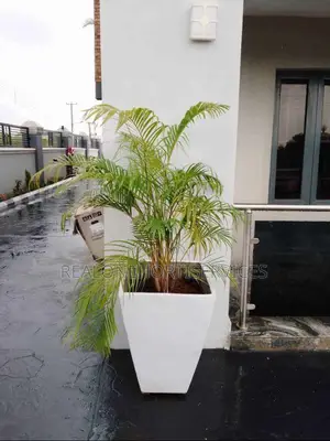 Garden Concrete Pot for Herbs, Flower Pot, Vegetables Stand