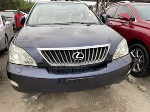 Lexus RX 350 2009 Gray
