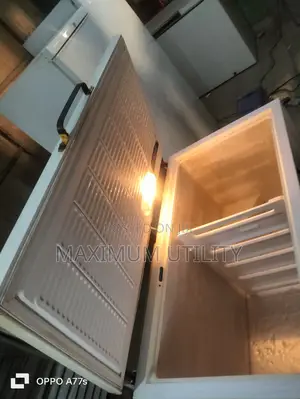 Zannusi German Deep Freezer