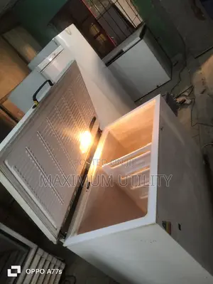Zannusi German Deep Freezer
