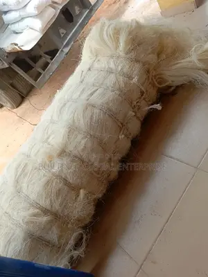 Ug Pop Fiber