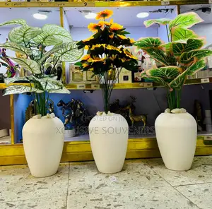Beautiful Interior And Exterior Potted Plant Setup (85cm)
