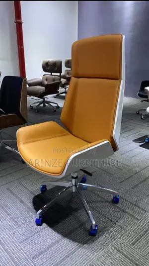 Executive Fashion Chair