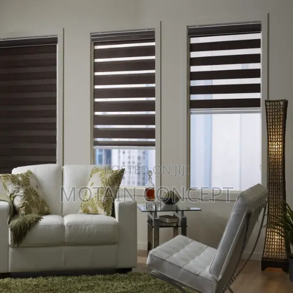 Day and Night Window Blinds