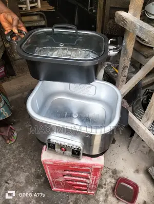 Crockpot Rice Cooker With Steamer