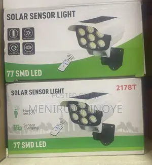 PTZ Solar Sensor Light