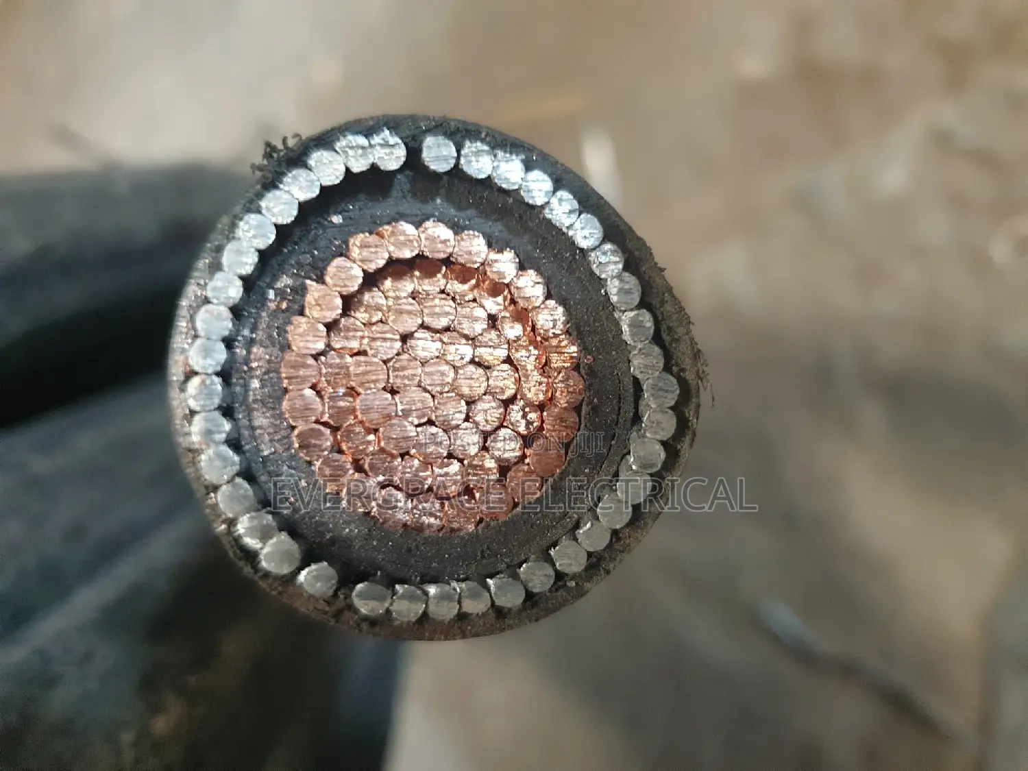 300mm Single-Armoured Cable