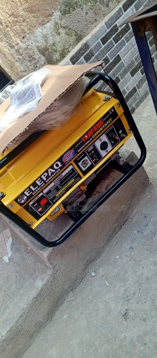 Elepaq Constant Generator Manual