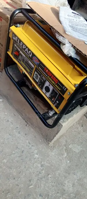 Elepaq Constant Generator Manual