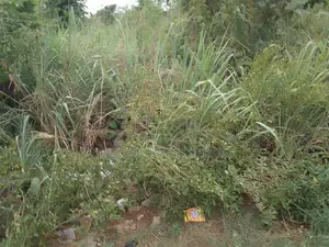 Half Plot of Land at Abijo g.r.a Face 2 Ibeju Lekki Lagos State