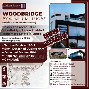 Company Flyer Design