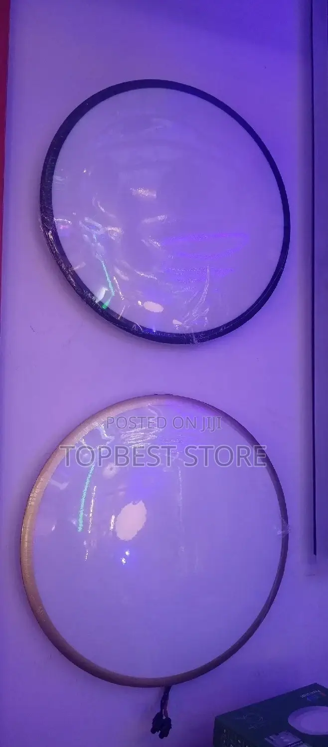Interior Rooms Decor Led Flush Light